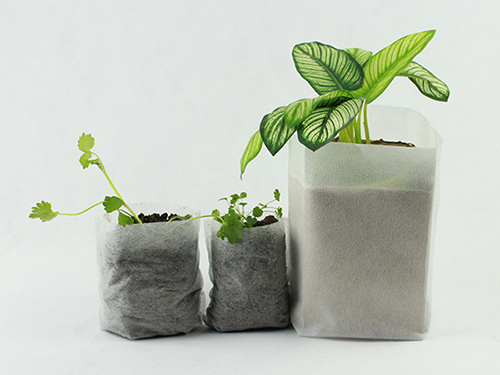 育苗袋